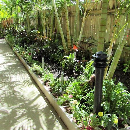 Sunlit Waters Studio Apartments Airlie Beach Exterior foto