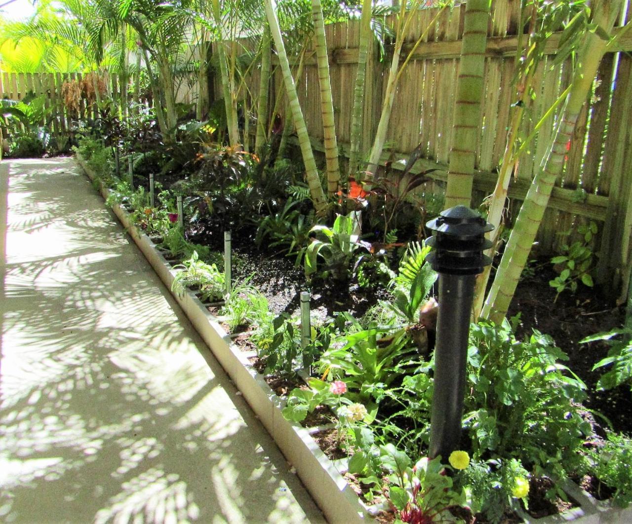 Sunlit Waters Studio Apartments Airlie Beach Exterior foto
